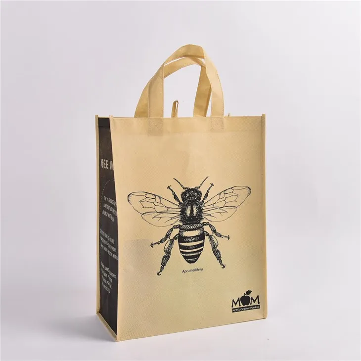 Compostable Biodegradable Corn Starch Pla Shopping Bag